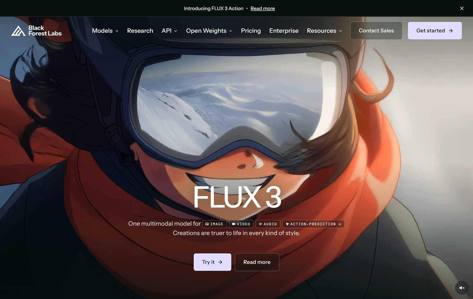 Screenshot der Benutzeroberfläche von FLUX 3 Video