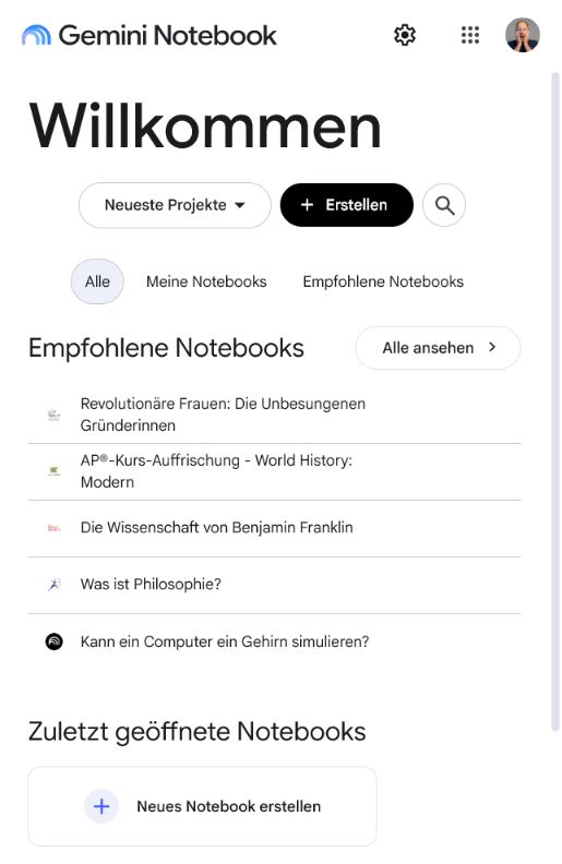 Screenshot von Gemini Notebook